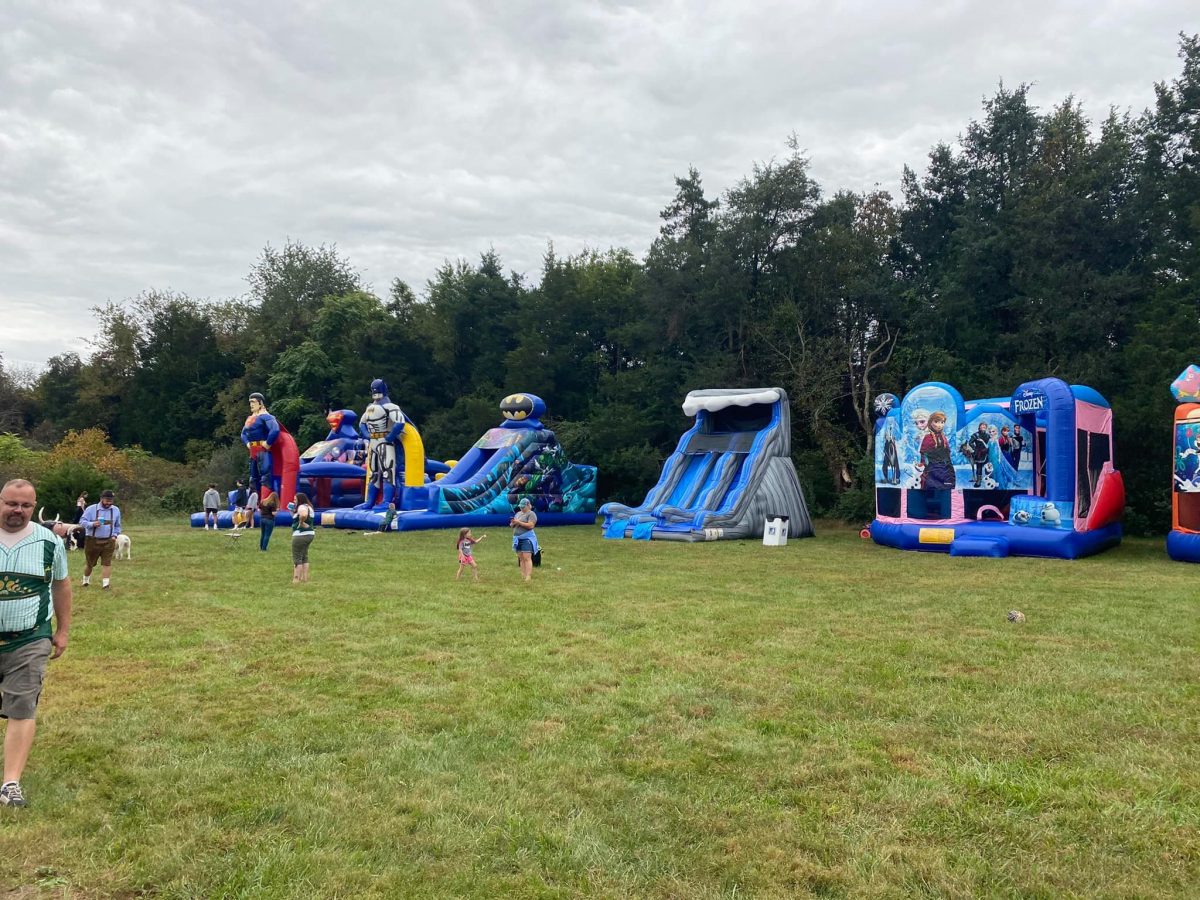 Tips for Hosting a Safe and Fun Inflatable Party in Aldie, VA - Backyard Water Slide Rental