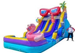 17 - Pool Party Dual Water Slide - Wet